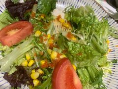 健康蔬菜鸡肉沙拉-NIUAN牛庵·日式和牛烧肉(恒隆店)