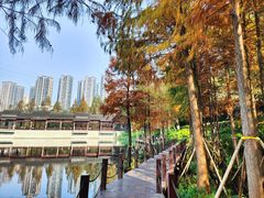 -重庆彩云湖湿地公园