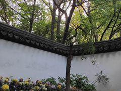 -汇龙潭