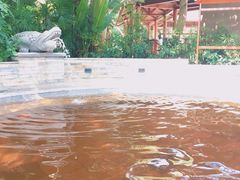 -碧水湾温泉