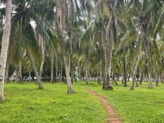 -白沙门生态公园