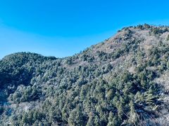 -北京西山国家森林公园