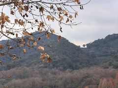 -马灯部落·西湖边的创意山景餐厅(虎跑动物园店)