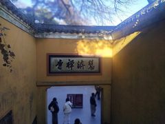 -普陀山慧济禅寺