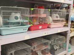 -钓仓鼠(洋桥北里小区店)