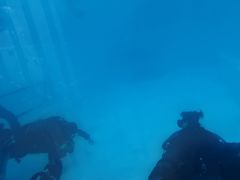 -上海潜殿潜水中心