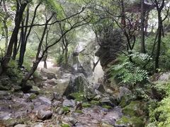 -少华山国家森林公园