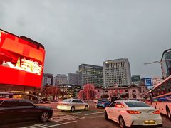 -新世界百货(明洞总店)