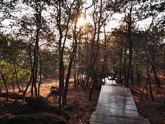 -南京市无想山景区