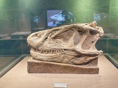 -自贡恐龙博物馆