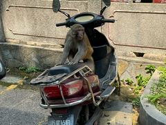 -黔灵山公园