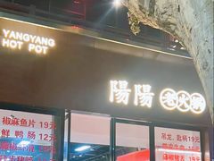 -阳阳老火锅(小南门店)