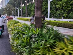 -南宁南湖公园