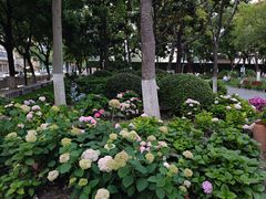 -常州古运河南大街文化旅游区-人民公园