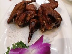 -虾饺妹·酒家(金碧店)
