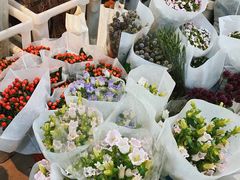 -循礼门鲜花花市(武汉循礼门店)