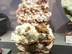 -湖南省地质博物馆