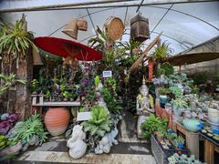 -三圣花乡旅游区