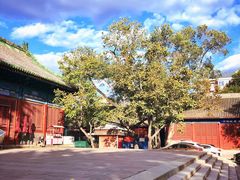 -报国寺