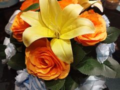 -彩虹之约•淮扬家宴(亚运村店)