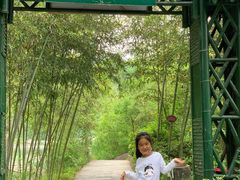 -美人谷景区
