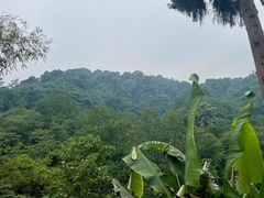 -青城山