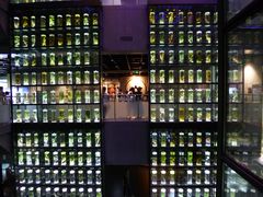 -广东中医药博物馆