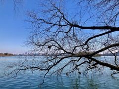-苏堤停车场