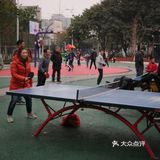 是一个很不错的社区小游园