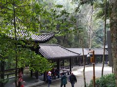 -江西阳明山国家森林公园