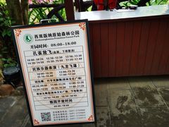-西双版纳原始森林公园