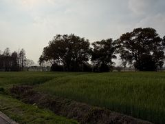 -嘉北郊野公园