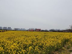 -西海岸生态观光园