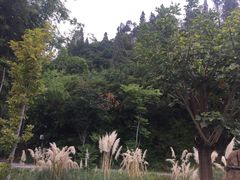 -月亮湾景区