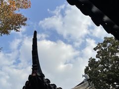 -拙政园