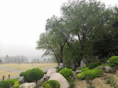 -中国唐苑