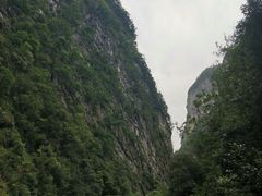 -武陵山森林公园