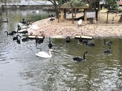 -黔灵山公园