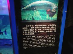 -蓬莱欧乐堡海洋极地世界