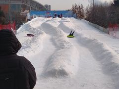 -沈阳奥体冰雪嘉年华