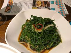 天山野生沙葱-天山醉美·新疆餐厅(富华里店)