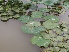 -东坡赤壁风景名胜区