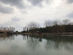 -乌村