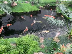 -罗红摄影艺术馆