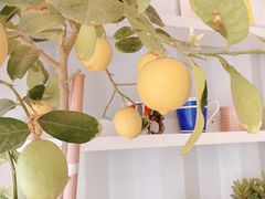 -BIGHEAD大头家咖啡馆(蛇口店)