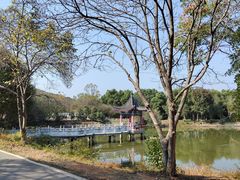 -青龙山国家森林公园