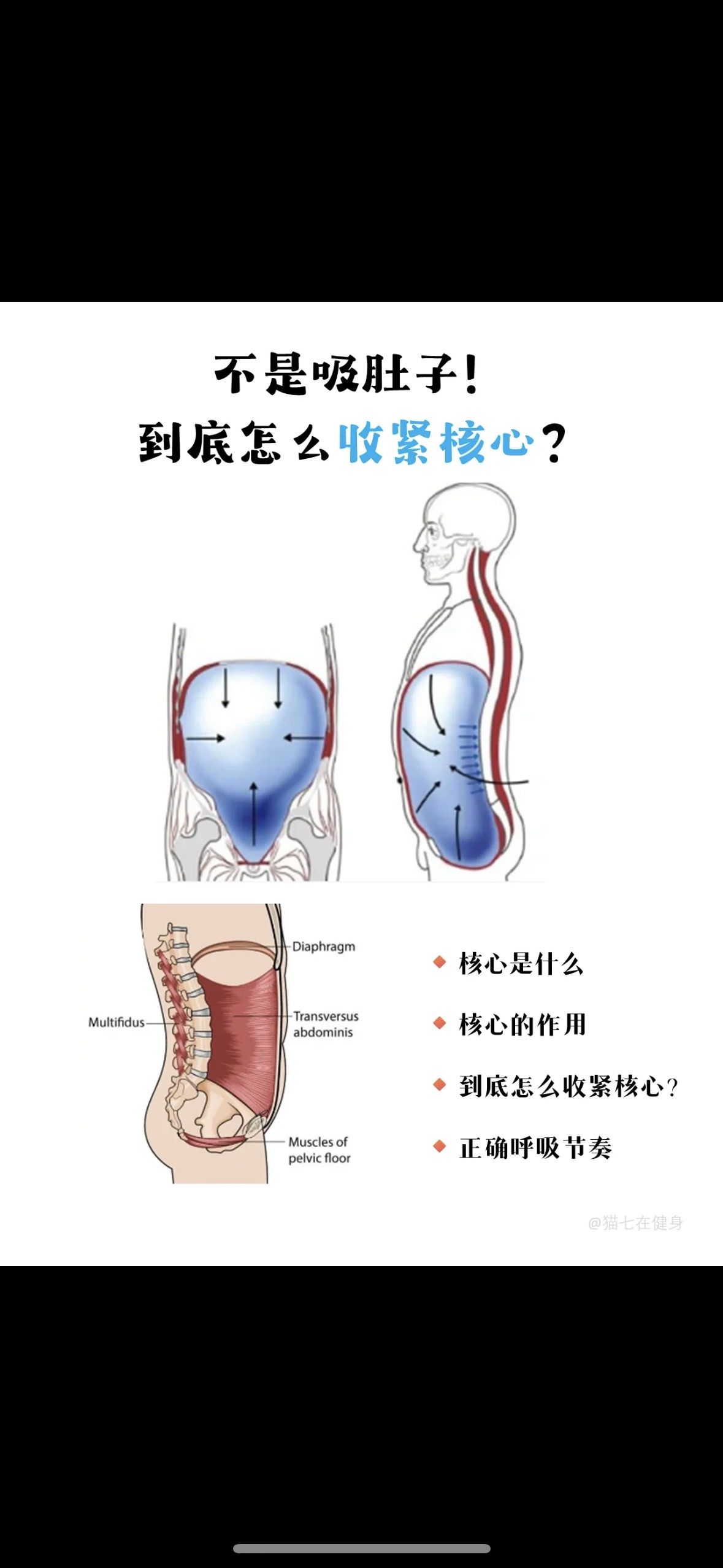 1 先健脑
今核心是什么
你以为只有腹肌?