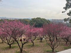 -无锡梅园公园