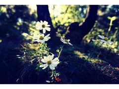 -北京宽沟会议中心