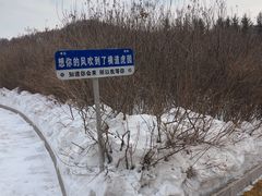 -横道河子东北虎林园